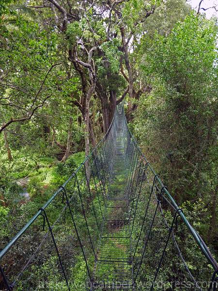 ngare-ndare-kenya-camping26