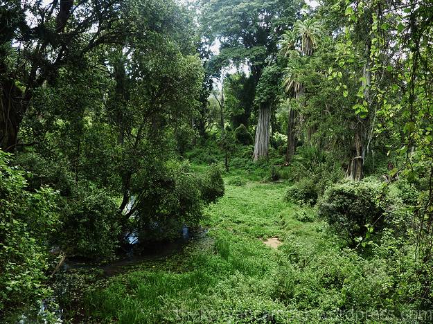 ngare-ndare-kenya-camping28