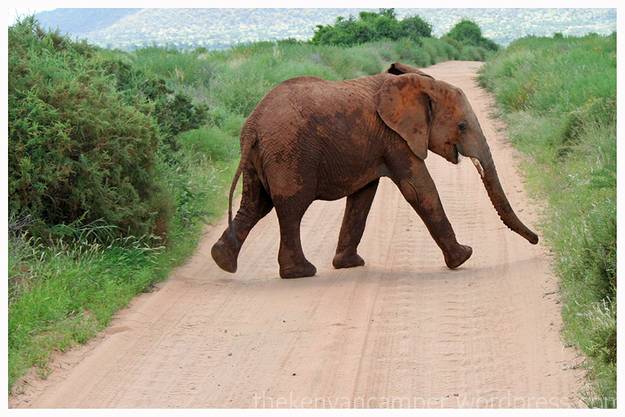 samburu-national-reserve-camping-kenya-camping25