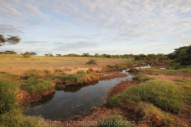 sera-wildlife-conservancy--kenya-bandas-02