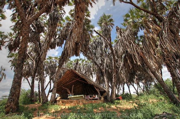 sera-wildlife-conservancy--kenya-bandas-06