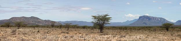 sera-wildlife-conservancy--kenya-bandas-25