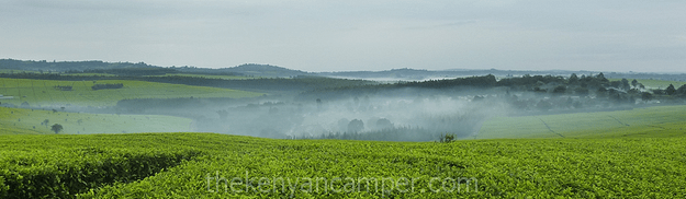 nandi-hills-rock-bears-golf-club-hotel-accomodation-bongoje-reserve-kenya-17