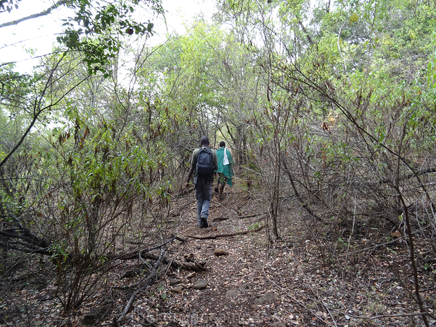 mukogodo-forest-camping-kenya-05
