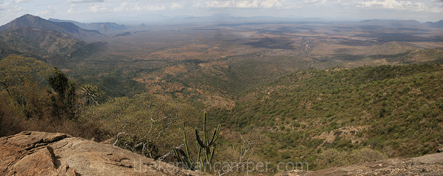 mukogodo-forest-camping-kenya-25