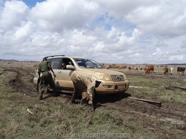 mukogodo-forest-camping-kenya-35