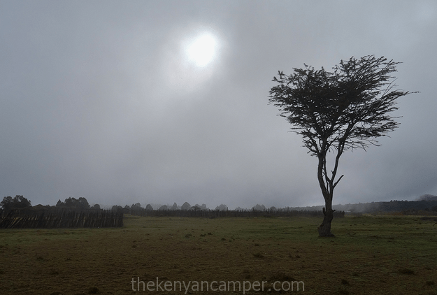 mukogodo-forest-camping-kenya-42