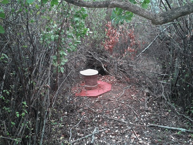 mukogodo-forest-camping-kenya-44