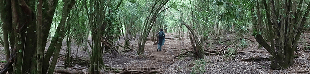 mukogodo-forest-camping-kenya-46