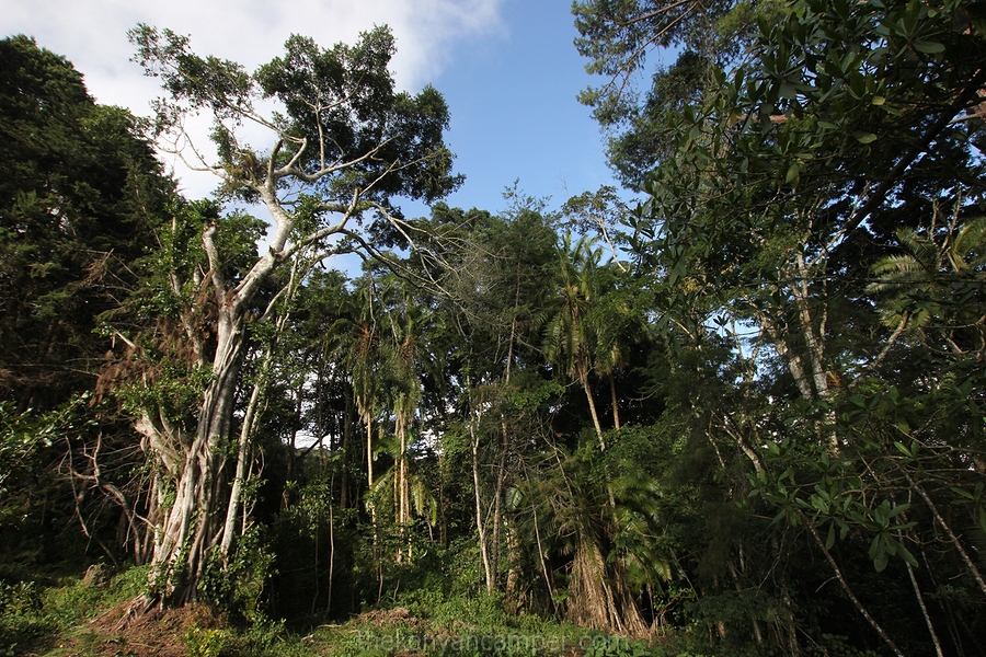 taita-hills-camping-kenya-15