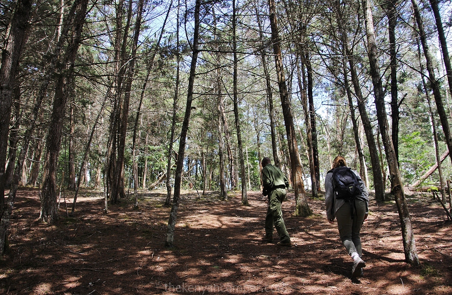 taita-hills-camping-kenya-30