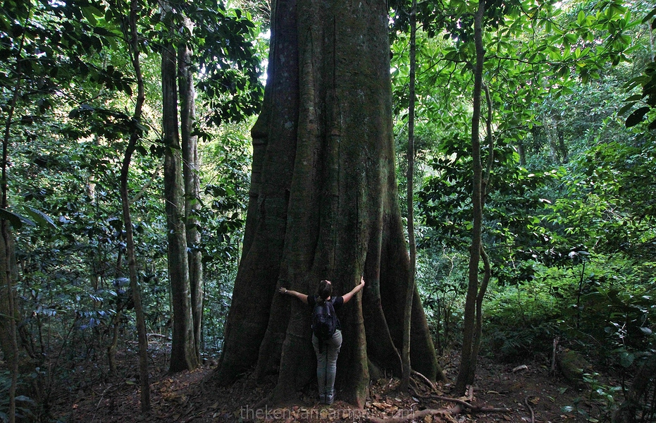 taita-hills-camping-kenya-35