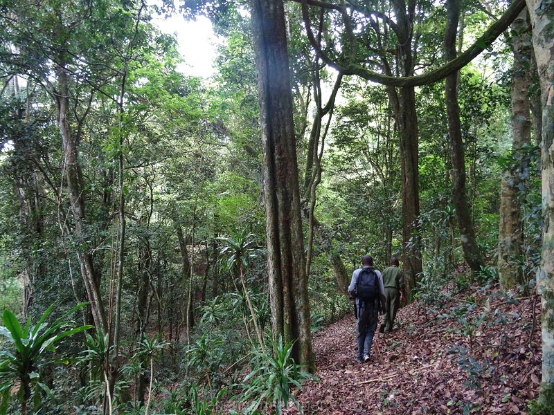 taita-hills-camping-kenya-47