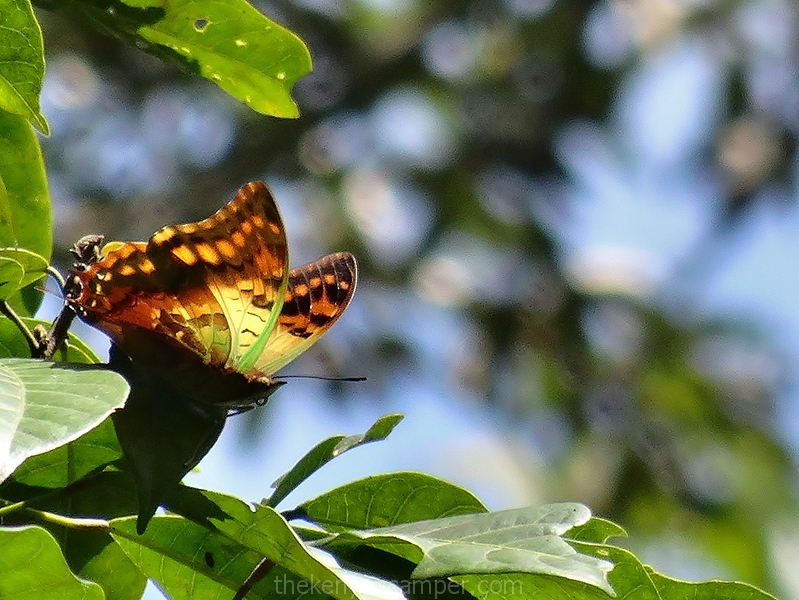 taita-hills-camping-kenya-53