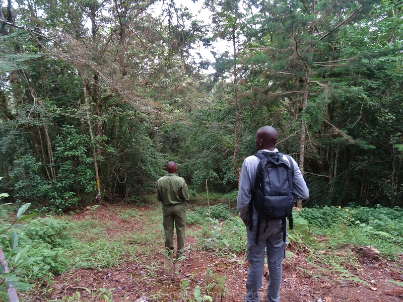 taita-hills-camping-kenya-80