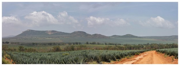 mount-kasigau-tsavo-kenya-11