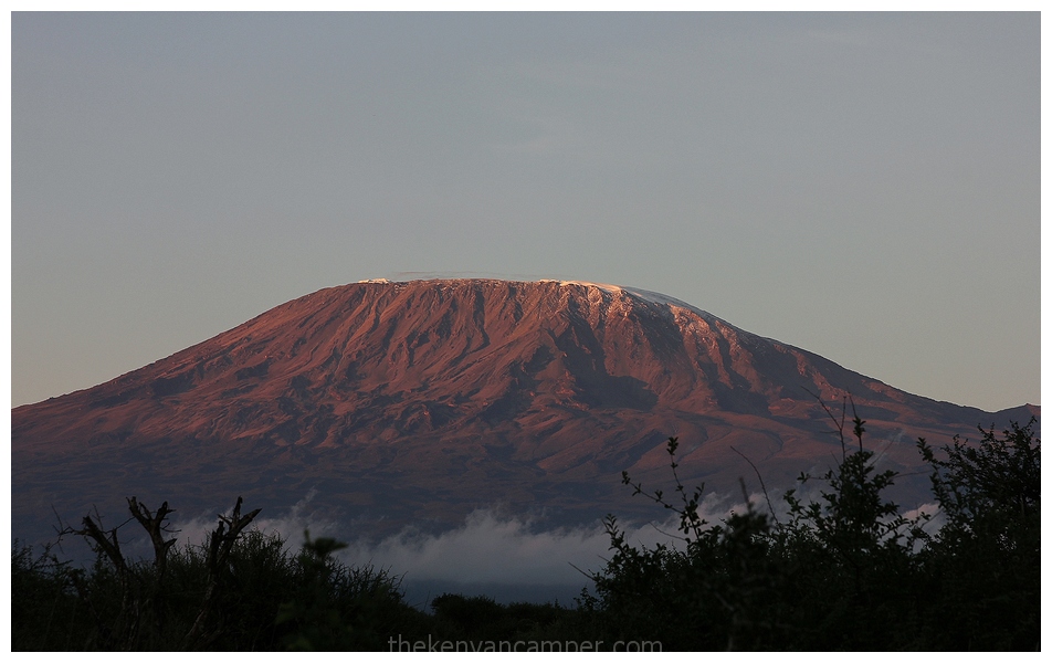 amboseli-bush-camp-kenya-42
