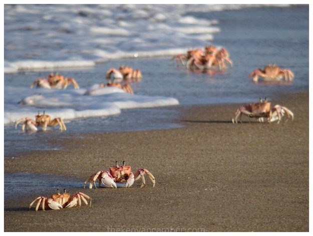 lamu-island-kizingo-kenya-02