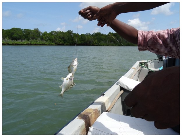 lamu-island-kizingo-kenya-28