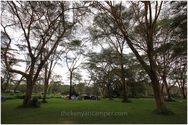 camping-carnellys-naivasha-kenya20