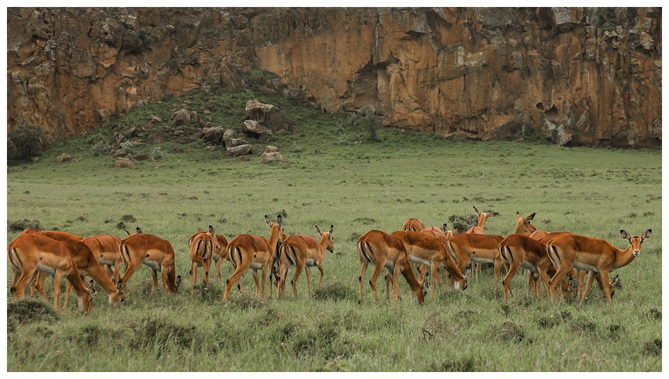 hells-gate-camping-kenya37