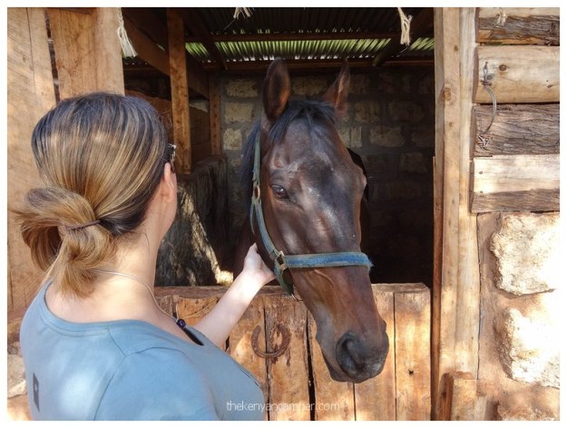 olomayiana-selfcatering-accommodation-kenya77