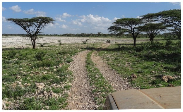 nakuprat-gotu-conservancy-kenya12