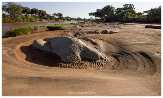 nakuprat-gotu-conservancy-kenya27