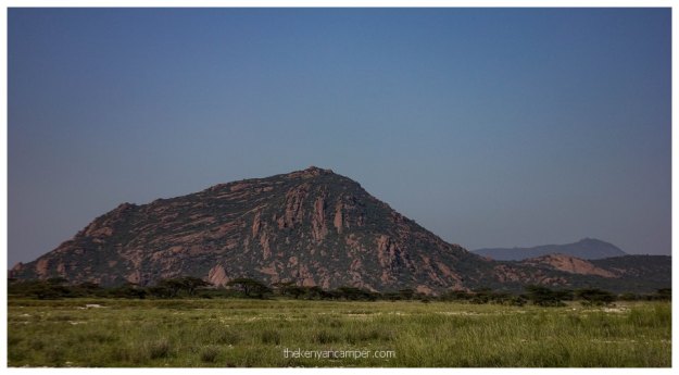 nakuprat-gotu-conservancy-kenya33