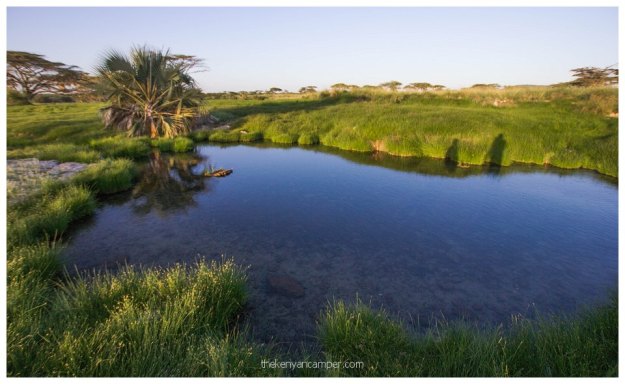 nakuprat-gotu-conservancy-kenya43