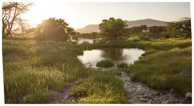 nakuprat-gotu-conservancy-kenya44