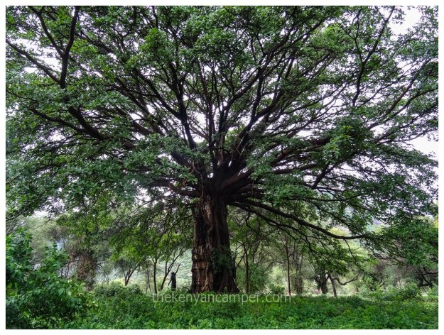 ndoto-mountains-samburu-marsabit-kenya43