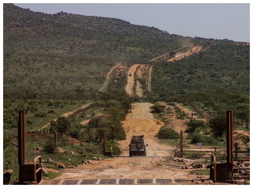 naibunga-conservancy-laikipia-camping-kenya-41