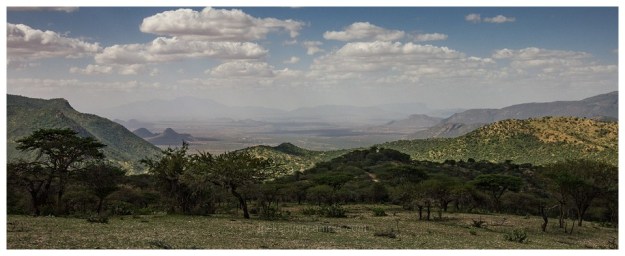 naibunga-conservancy-laikipia-camping-kenya-56