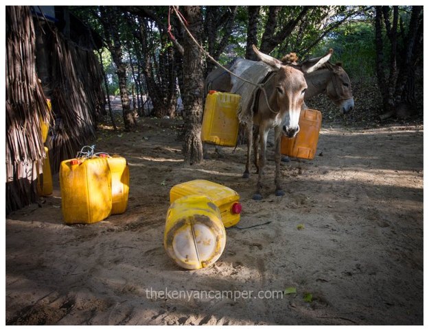 mikes-camp-kiwayu-lamu-kenya32
