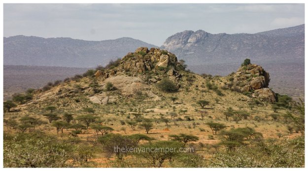 westgate-conservancy-camping-kenya-11