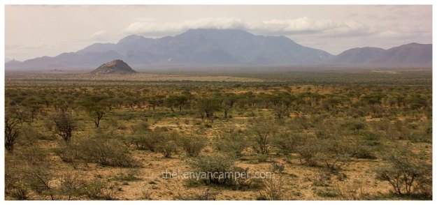 westgate-conservancy-camping-kenya-14