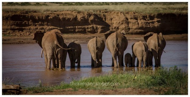 westgate-conservancy-camping-kenya-42