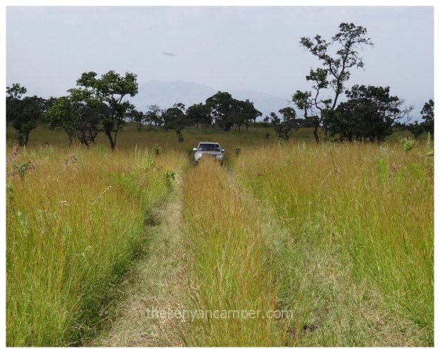 https://kenyancamper.com/wp-content/uploads/2016/11/chyulu-hills-national-park-camping-kenya-9.jpg
