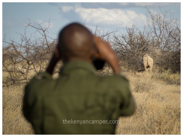 sera-conservancy-rhino-camping-kenya-25