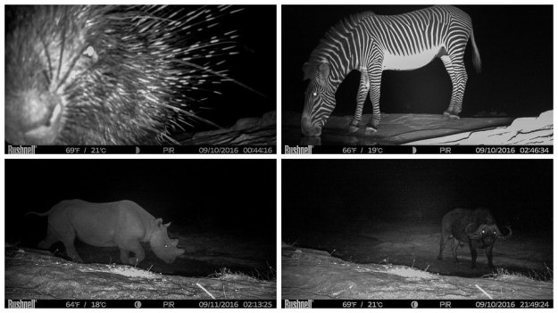 sera-conservancy-rhino-camping-kenya-69