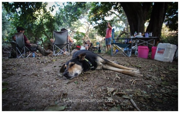 namunyak-mathews-range-samburu-kenya-60