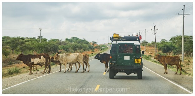 amboseli-olgulului-nyiri-desert-camping-kenya-01