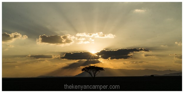 amboseli-olgulului-nyiri-desert-camping-kenya-19