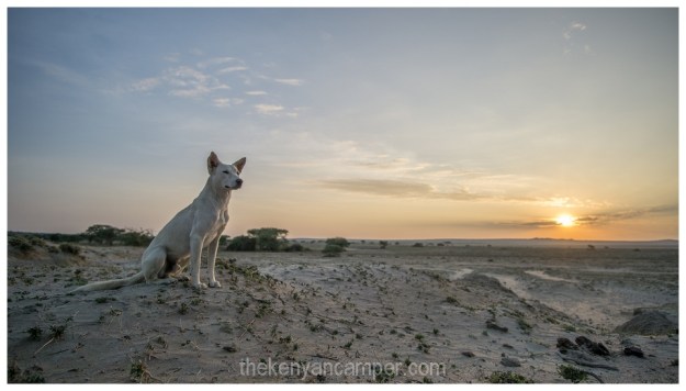 amboseli-olgulului-nyiri-desert-camping-kenya-38