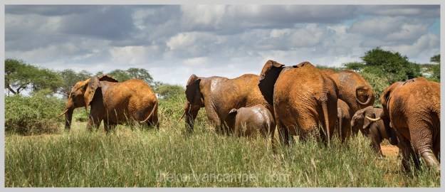 lake-chala-tsavo-west-lake-jipe-camping-kenya-32