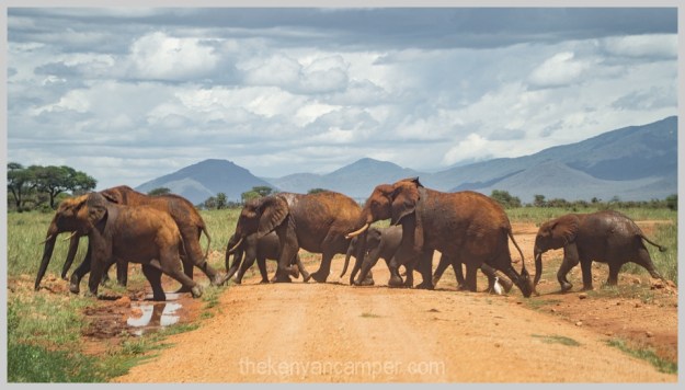 lake-chala-tsavo-west-lake-jipe-camping-kenya-33