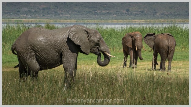 lake-chala-tsavo-west-lake-jipe-camping-kenya-67