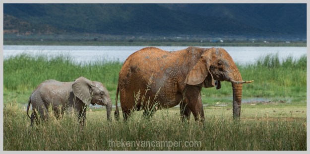 lake-chala-tsavo-west-lake-jipe-camping-kenya-72