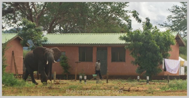lake-chala-tsavo-west-lake-jipe-camping-kenya-78